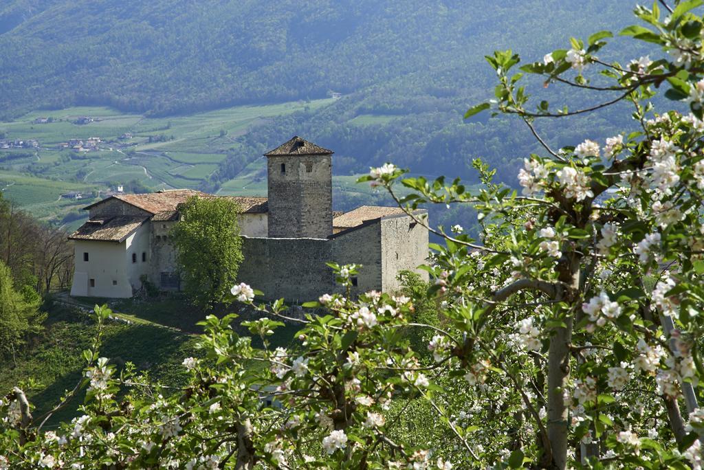 B&B La Casa Del Sole Сан-Микеле-аль-Адидже Экстерьер фото